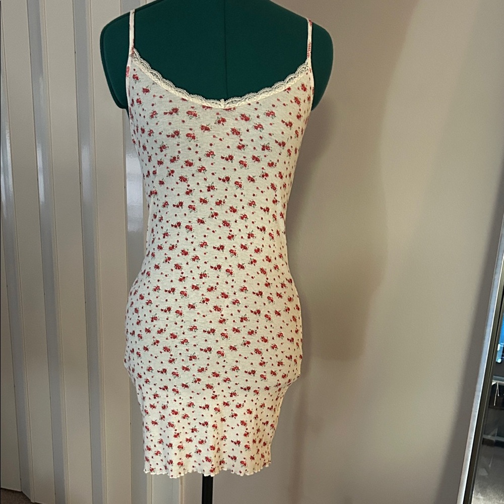 SHEIN Cream and Red Floral Mini Dress